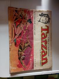 Tarzan fumetto 