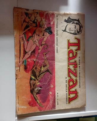 Tarzan fumetto 