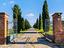 Immagine 7