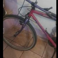 Mountain bike per raggiungere sogni 