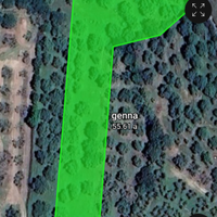 Terreno con piante di ulivi