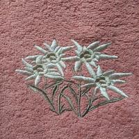 Asciugamani ricamati