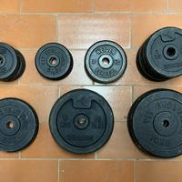 Dischi in ghisa pesi palestra