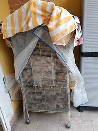 Vendita Voliera con Diamantini