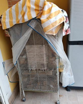 Vendita Voliera con Diamantini