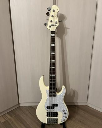 Basso Elettrico 5 corde