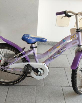 bicicletta