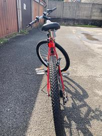 Mountain bike misura 26