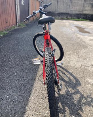 Mountain bike misura 26