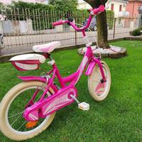 Bicicletta bimba 5/6 anni