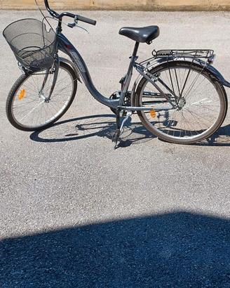 bicicletta montana 