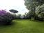 Immagine 17