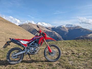 Honda CRF 300 - 2024