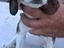 Immagine 3