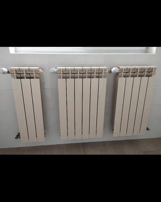 Termosifoni in alluminio 