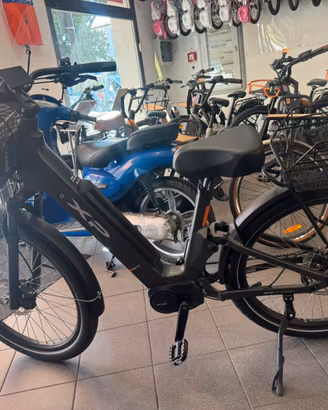 Bicicletta elettrica