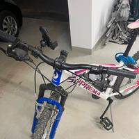 Porta bici universale