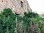 Immagine 12