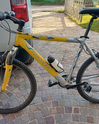 Mountain bike
