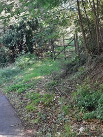 Terreno Montecompatri