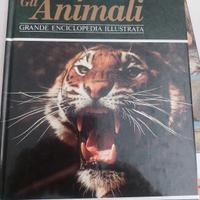 GRANDE ENCICLOPEDIA DEGLI ANIMALI