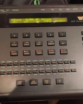expander gem ws2 