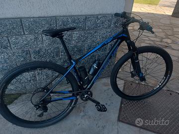 focus raven mtb