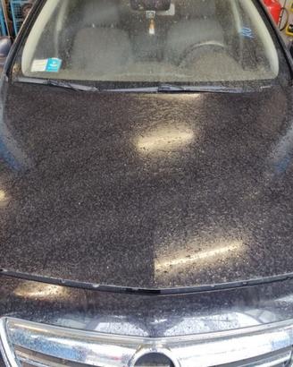 Cofano OPEL INSIGNIA del 2009