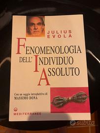 Julius Evola Fenomenologia dell’individuo Assoluto