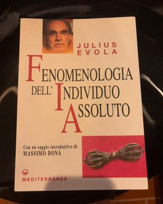 Julius Evola Fenomenologia dell’individuo Assoluto