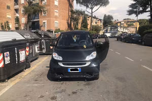 Smart 2008