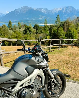 YAMAHA MT09  abs