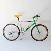 COLNAGO MASTER IBEX COLORI ZAFFIRO