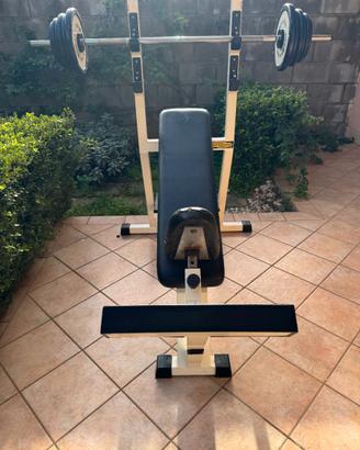 Technogym panca obliqua