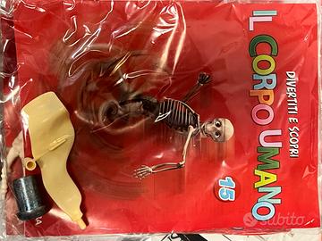 Divertiti e scopri il corpo umano - sigillati RBA