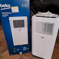 Climatizzatore Portatile