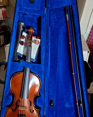 violino