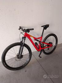 Mtb 29 specialized camber fsr