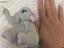 Immagine 1