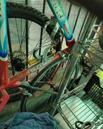 Bicicletta da corsa
