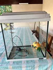Acquario 30lt