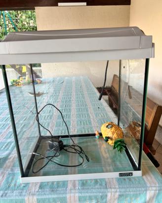 Acquario 30lt