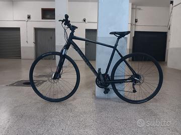 specialized