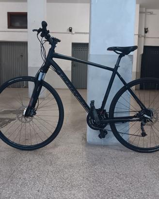 specialized