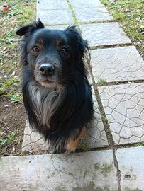 Meticcio di nome Blake