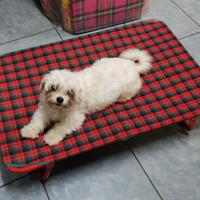 Brande, cuscini e lettini per cani e altri animali