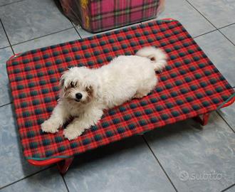 Brande, cuscini e lettini per cani e altri animali