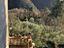 Immagine 18