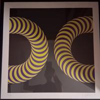 Serigrafia di Franco Costalonga