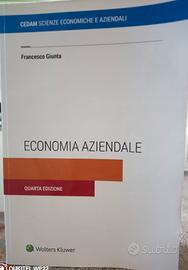 libro economia aziendale 